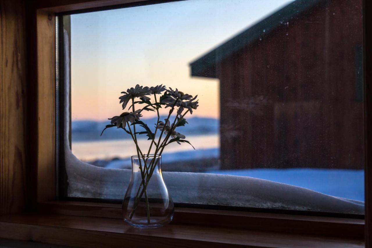 Lake Thingvellir Cottages Blaskogabyggd エクステリア 写真